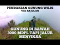 Pendakian Gunung Wilis Via Bajulan, Sekartaji Puncak Limas 2349 MDPL