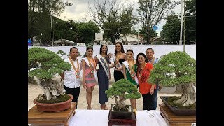 52nd DAY OF DAVAO ORIENTAL BCMC 1st DAY OF DAVAO ORIENTAL Bonsai Show and Exhibit 2019 next