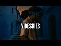 VIBESKIES – Afrobeat Instrumental 2025 ✨ | Wizkid x Ayra Starr | Feel-Good Sax Type Beat