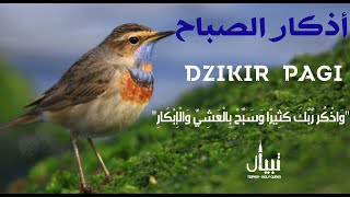 أذكار الصباح - راحة نفسية لا توصف بصوت القارئ علاء عقل | Morning Athkar - Dzkir Pagi by Alaa Aql