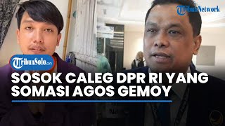 Sosok Caleg DPR RI yang Somasi TikToker Lumajang karena Stikernya Dicopot, Sebut Partainya Dirugikan