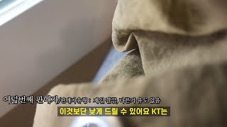 테크노마트 폰팔이 16명 도장깨기