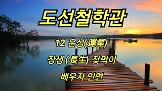 [도선철학관] 12 운성 장생 (젖먹이) 배우자 인연