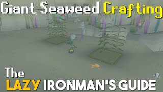 Giant Seaweed Crafting Guide - Lazy Ironman's Guide