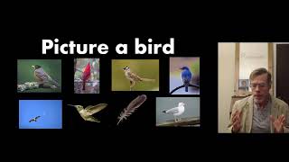 Prototypes in Language
