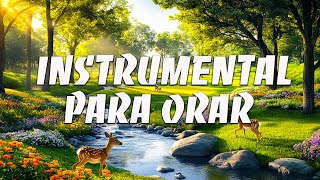 MÚSICA INSTRUMENTAL CRISTIANA / SIN ANUNCIOS INTERMEDIOS / ADORACIÓN INSTRUMENTAL