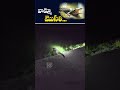 వామ్మో మొసలి... k6news crocodile scary dangerous viralvideo trending news yshorts