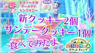 【ポケ森】新クッキー2個控えめに食べてみたよ