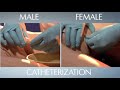 hal® s3201 part 10 catheterization