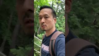 旅遊Vlog: #富士山 之新倉山淺間公園 #fujimountain