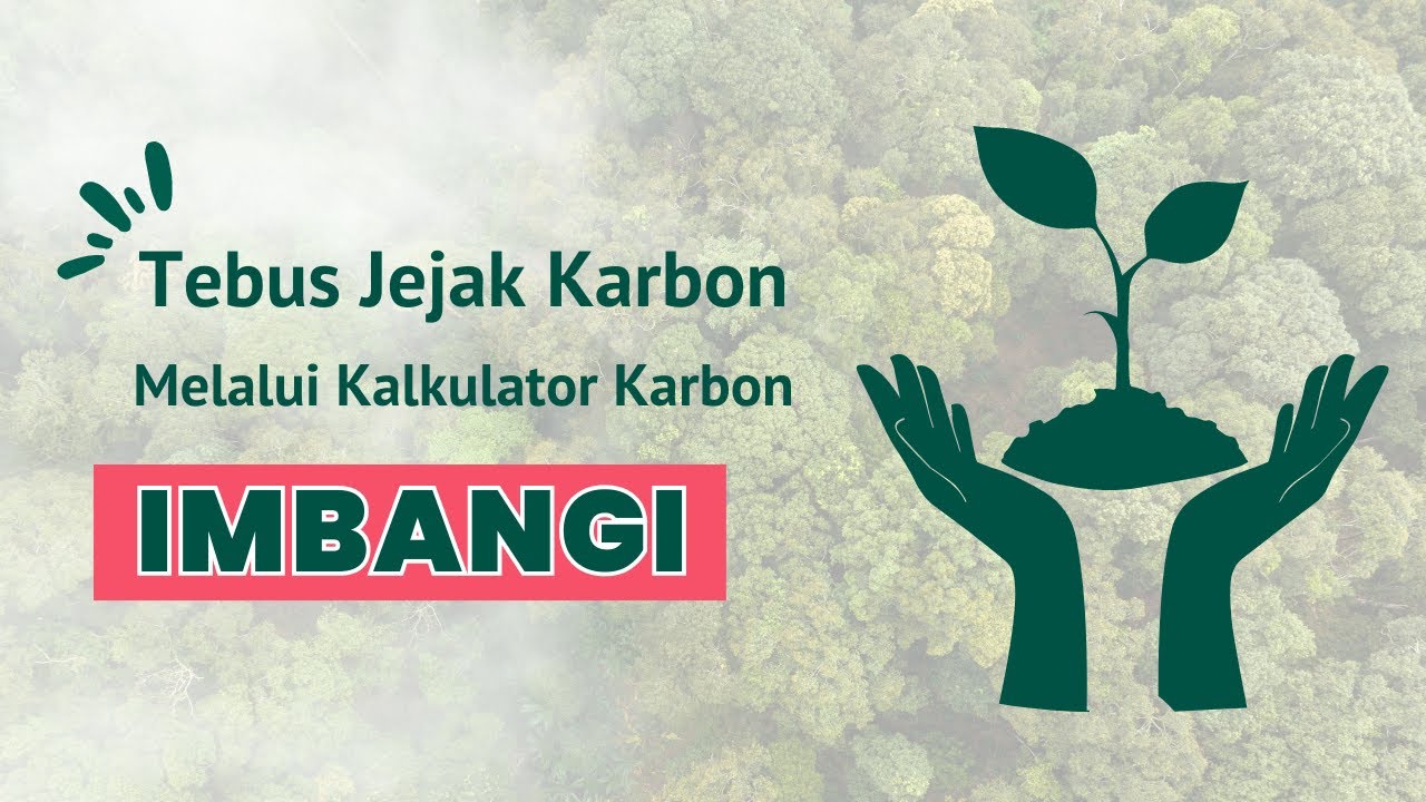 Tutorial Menebus Jejak Karbon Menggunakan Kalkulator Karbon Imbangi ...