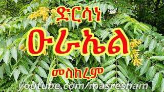 ድርሳነ ዑራኤል መስከረም - Dirsane Urael Meskerem