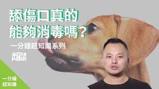 【一分鐘大挑戰 】舔傷口真的能夠消毒嗎？｜一分鐘物一生EP.9