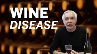 Dr Joe Schwarcz The Story Of Vodka Montreal Gazette Mp3 Mp4 Download