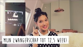 Mijn zwangerschap so far (12,5 week) | Zwangerschapsdagboek (Ouders van Nu)