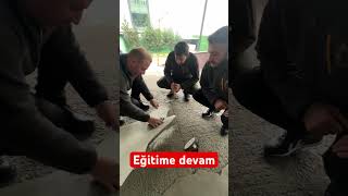 Eğitim olmazsa olmaz