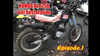 Honda XLR250R Full Restoration No.1