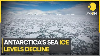 Antarctica's sea ice at record low as effects of climate change take shape | WION Climate Tracker