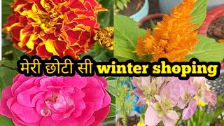 आज मेरी Winter की छोटी सी  Flower Shoping#viralvideo#ytvideo#my #flowers #floweringplant #gardening