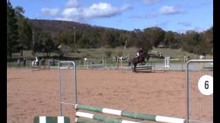 Optimum Time Show Jumping (5th place)