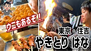 昭和４６年創業！年間18000本食されている濃厚鶏レバーがなんと１００円！【炭焼き やきとりはな】