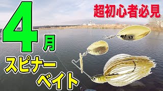 【超初心者必見】４月のスピナーベイト！！