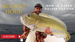 How to find and catch Golden Tile Fish (Catch and Clean)