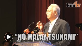 Najib: There will be no Malay tsunami