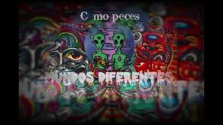 3 -  @big-kush -  C mo peces - (Audio Oficial )