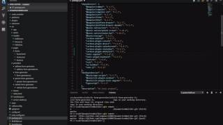 Visual Studio Code Version Lens
