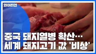 中 돼지열병 확산...세계 돼지고기 값 '비상' / YTN