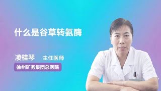 什么是谷草转氨酶 凌桂琴 徐州矿务集团总医院