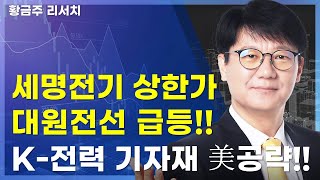 오늘[딱!이거] 세명전기 상한가, 대원전선 급등 K-전력기자재 美공략 필수확인!