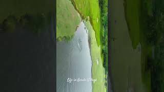 Village Life In Kerala#Location- Parindrachi Manappuram, Aluva......#countryside #drone #river