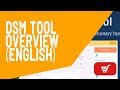 DSM Tool - Overview [Explained]