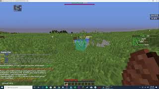 Live Coding + Testing (FateUHC)