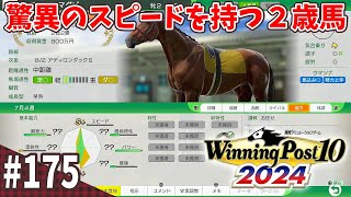 【競馬SLG】海外牧場開設『ウイニングポスト10 (2024)』#175