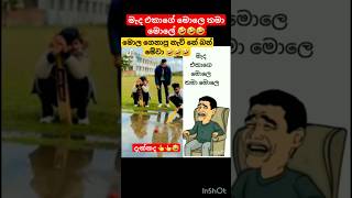 නෑ නෑ තාම දැක්කේ නෑ🤭🤣🤣#funny #tiktok #trending #viral #dance #shorts