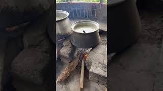 Local food in a Ardabil IRAN #shorts #iran