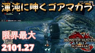 渾沌に呻くゴアマガラ   限界最大2101.27