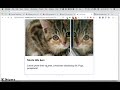 Slick.js Demo on how to get it working.