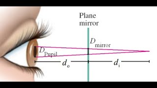 (32-6) Suppose you are 88 cm from a plane mirror. What area of  the mirror is used to reflect the ra