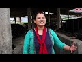 गाई पालनले जानुकालाई दिएको सफलता cow farming in nepal inspirational motivational video