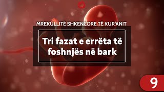 Tri fazat e errëta të foshnjës në bark - Mrekullitë shkencore të Kur'anit