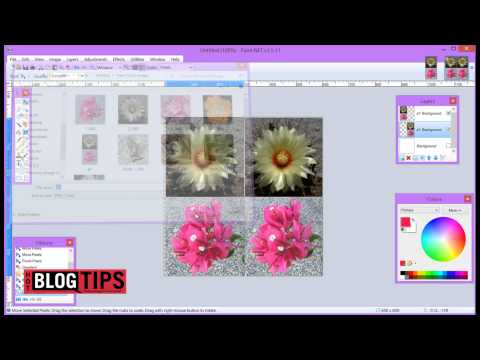 Paint.net Tutorial Image Collage Paint.net Tutorial Image Collage