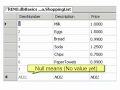 SQL Developer 2008 Understanding Database Geek Speak from Joes 2 Pros Vol. 1 Chapter 1