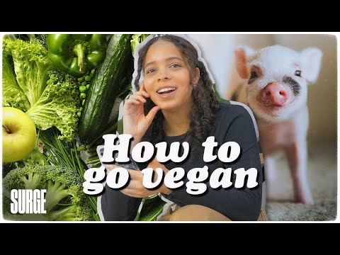 How To Go Vegan In 5 Simple Steps Dailyveganlife How To Go Vegan In 5 Simple Steps Dailyveganlife