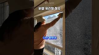 👆프로필 링크에 구매처 있어요👆 275번 유리창 닦이#유리창청소 #배란다유리창 #창문닦이