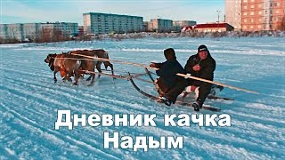 [Реальная качалка представляет]  Дневник качка: Надым