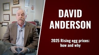 2025 Rising egg prices: how and why